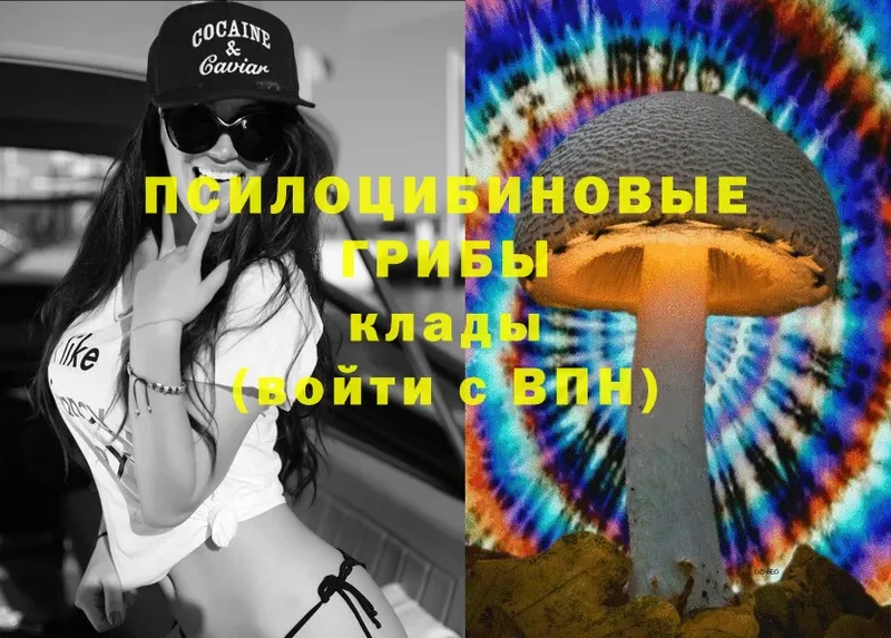 Что такое Новомичуринск Марихуана  Псилоцибиновые грибы  A PVP  ГАШ  COCAIN 