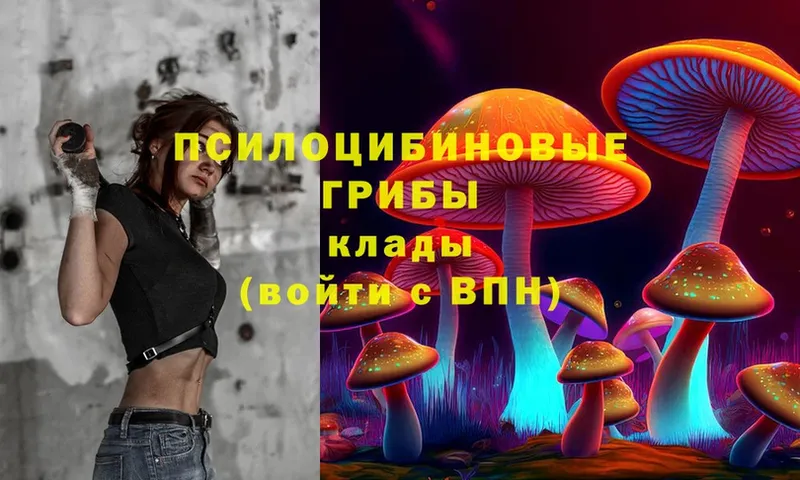 Псилоцибиновые грибы Magic Shrooms  hydra рабочий сайт  Новомичуринск 